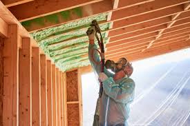 Best Radiant Barrier Insulation  in Ocoee, FL